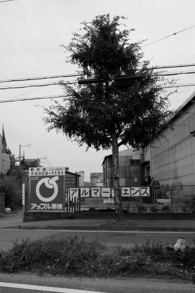 打ち捨てられたスヌーピー