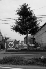 打ち捨てられたスヌーピー