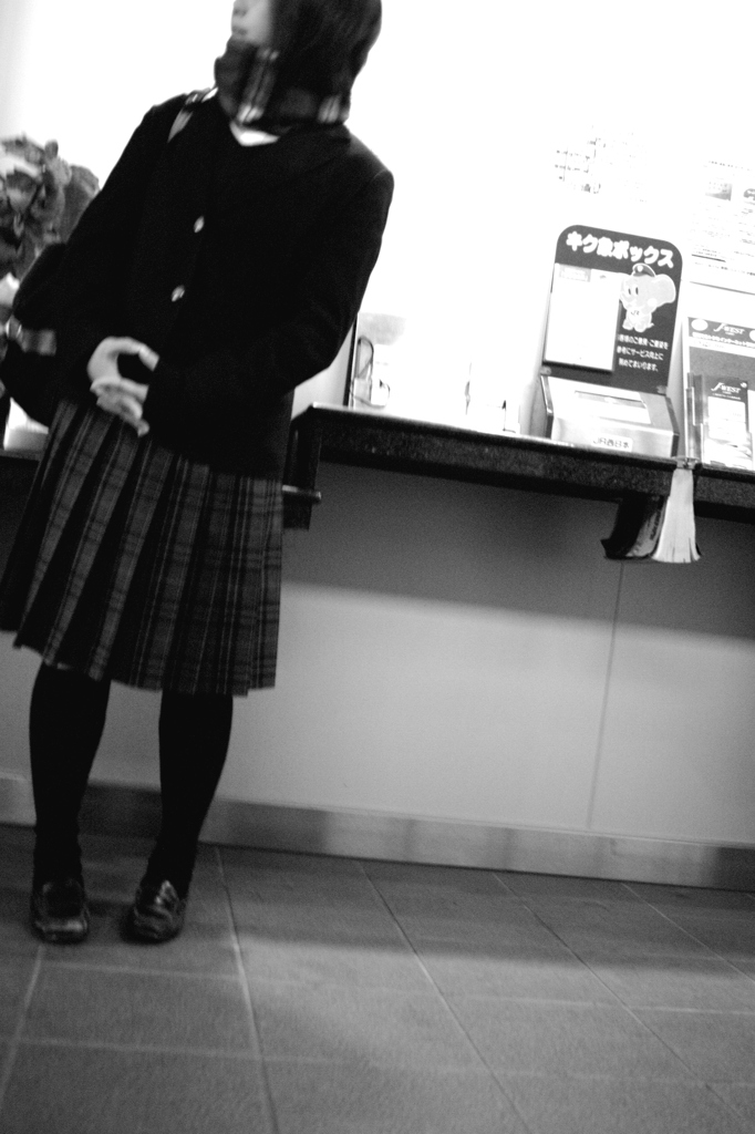 キク象