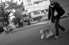 目つき悪くない？