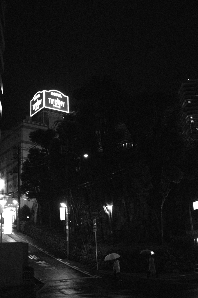 →　２５