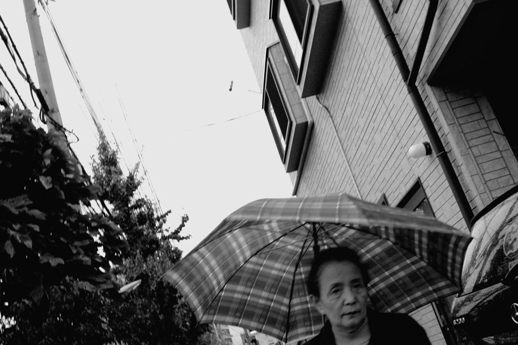 チェック柄の傘