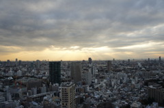 東京タワーからの風景