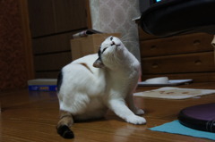 痒いぃ～～