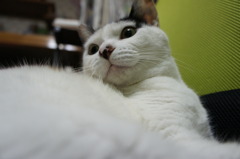 ん？