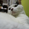 ん？