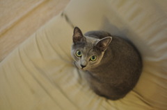 ん？