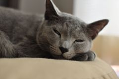 もうすぐ落ちるかも