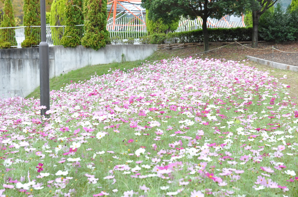 ある公園にて２