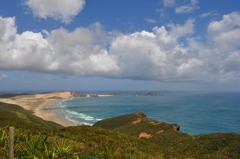 Cape Maria van diemen