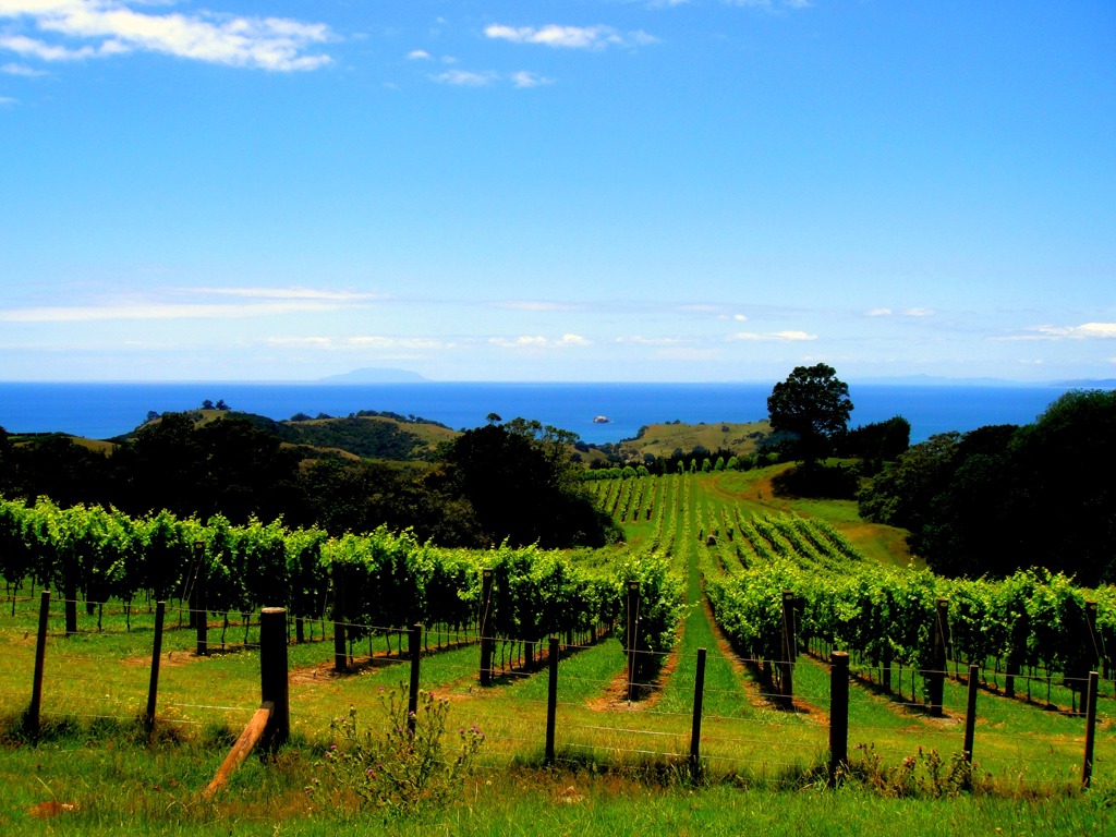 winery