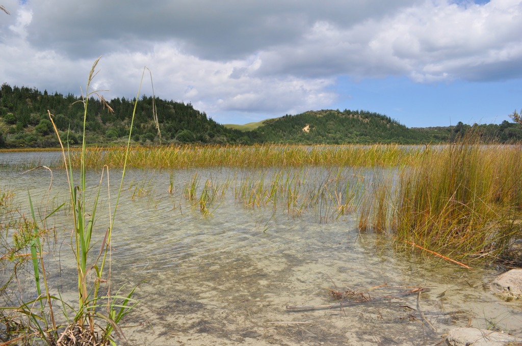 Kai Iwi Lakes