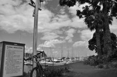 harbor