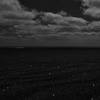 砂の中の星