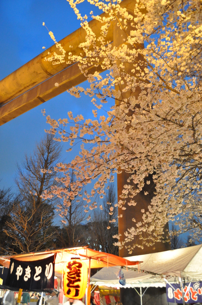 靖国神社～桜まつり～