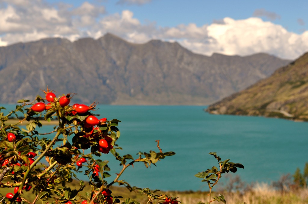 Lake Hawea