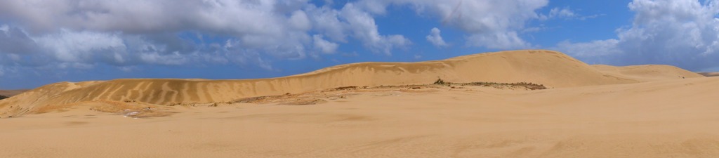 見渡す限りの砂