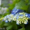 Energy Blue