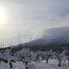 冬の岩木山とリンゴ畑