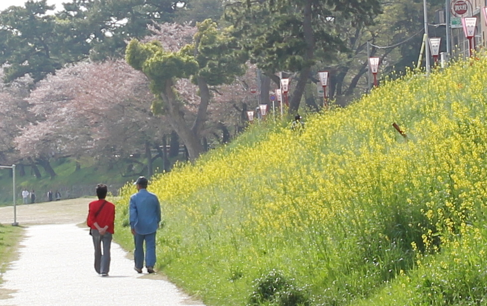 共に