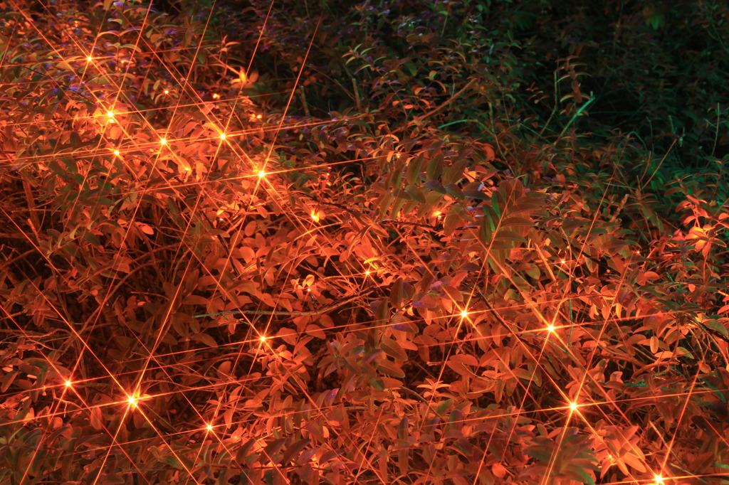 orange・diamond