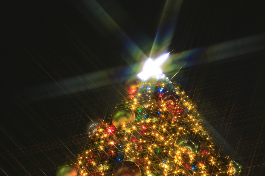 Merry　Christmas