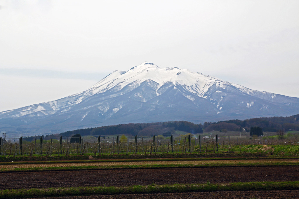 春の岩木山