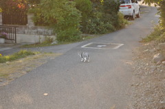 帰り道