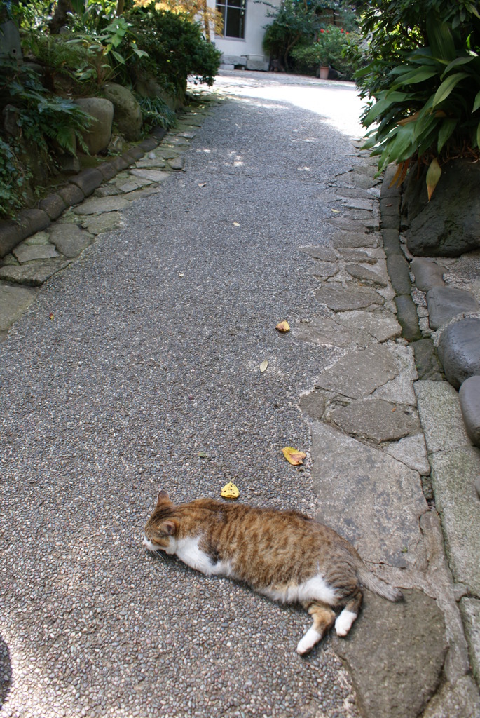 まだ　考えちゃうの