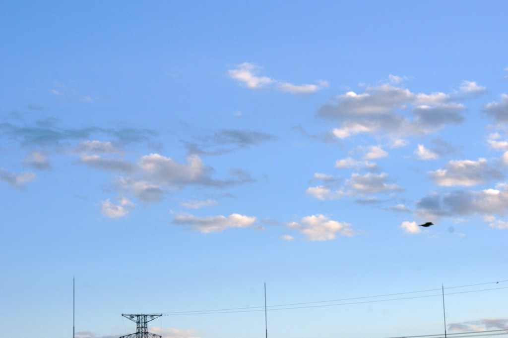 空色遊び