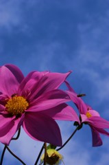 同じ、瞬間
