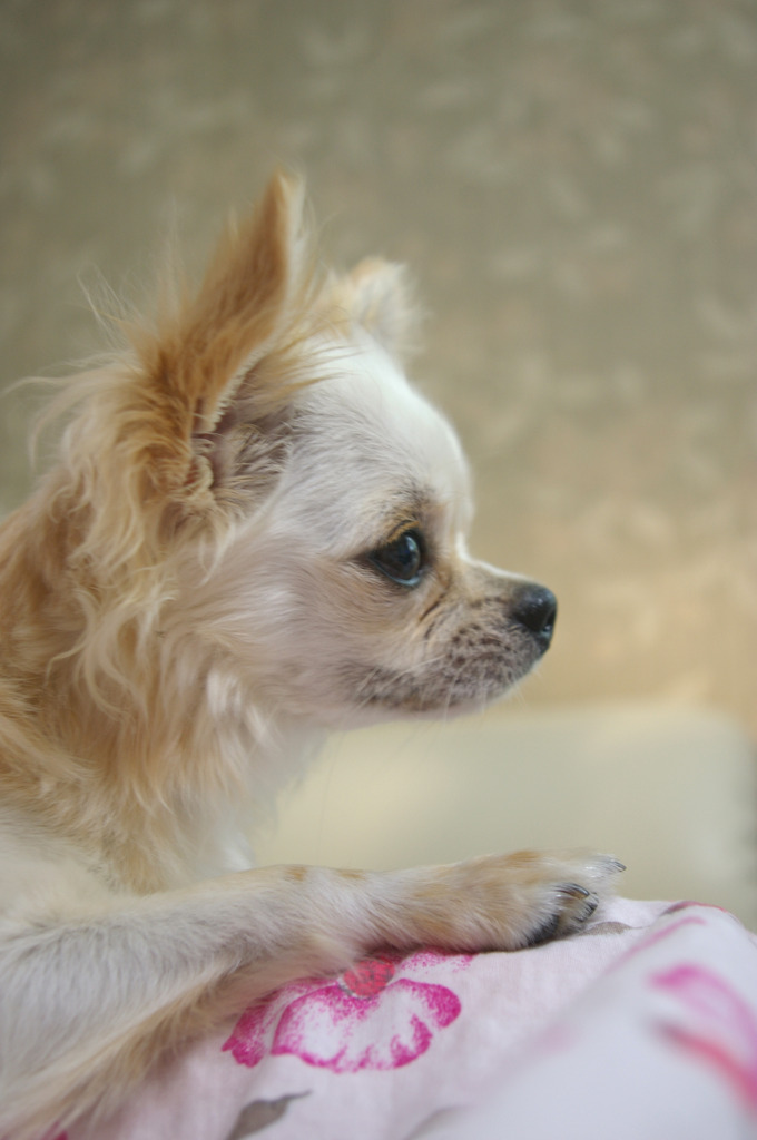 そんなに・・・