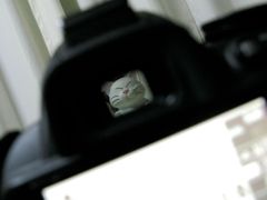シャッターチャンス