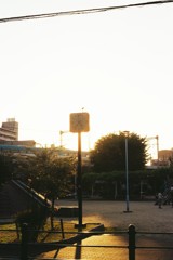 母の声