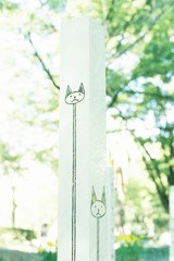 にゃーーーーん