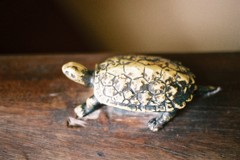 さわってみたかったの。
