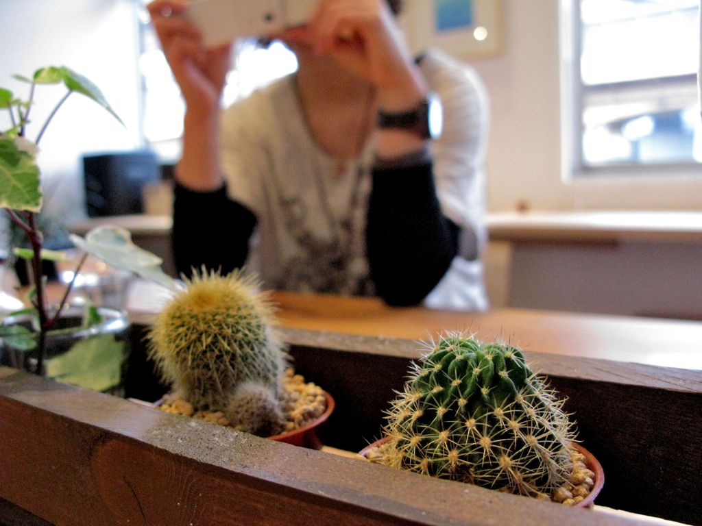 メリケンカフェ