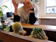 メリケンカフェ