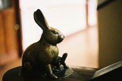 ウサギとカメ