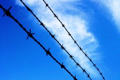 自由になりたい