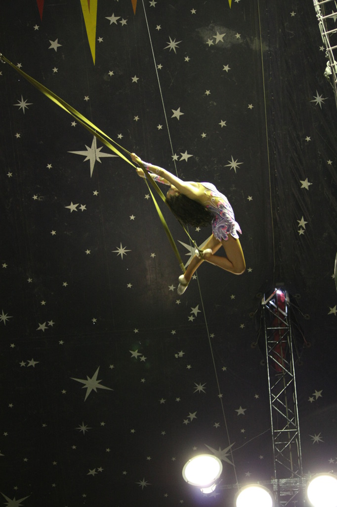 Flying beauty
