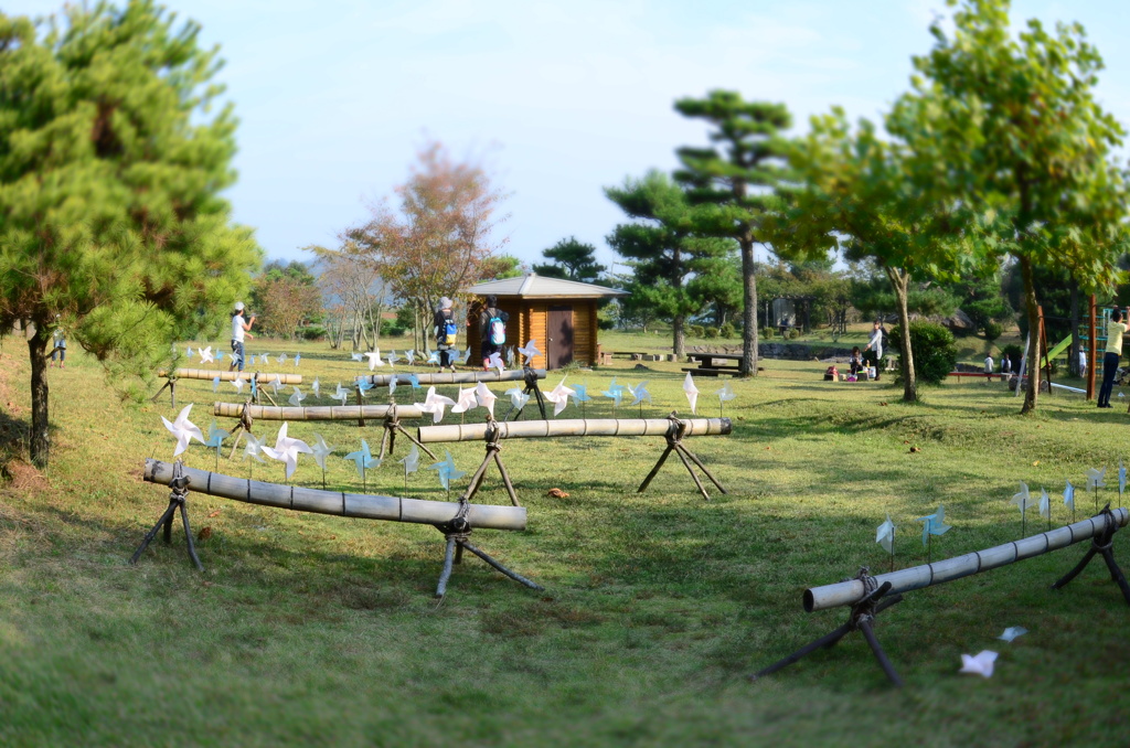 今日も風が吹いている。