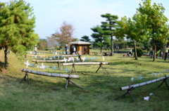 今日も風が吹いている。