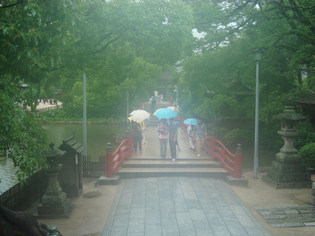 優雨。
