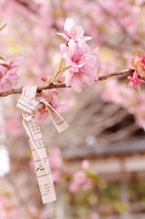 花に願いを