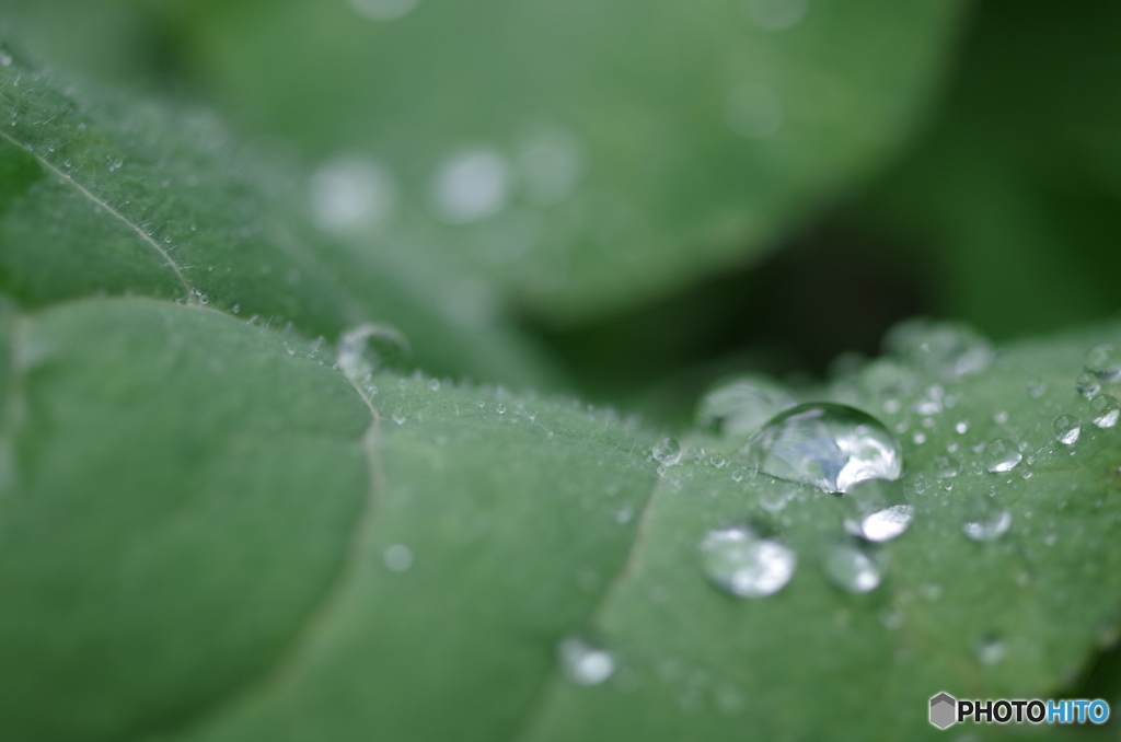 雨上がり