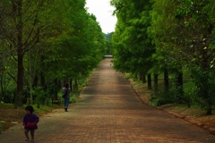 風の通り道