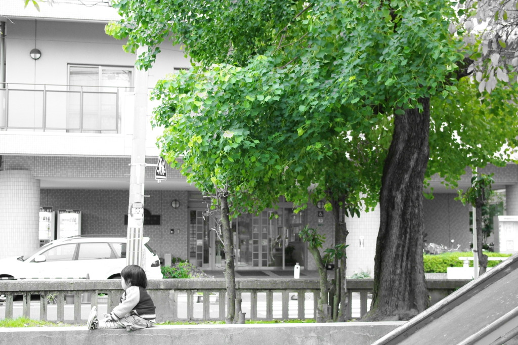 緑の中で