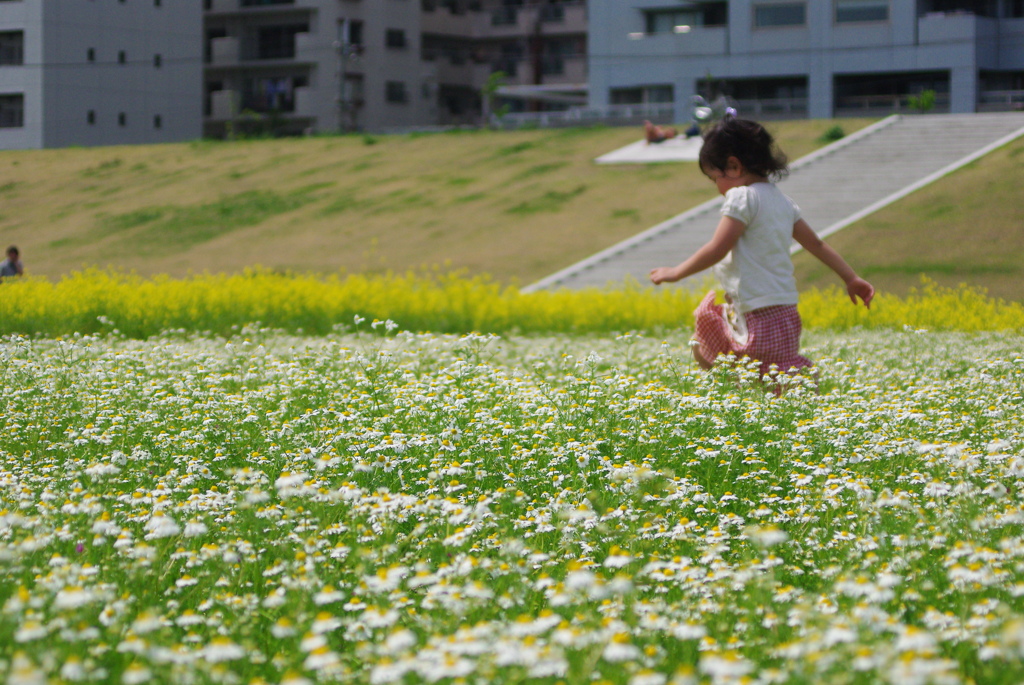 お花畑