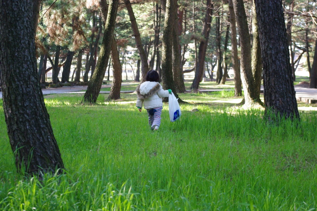 まつぼっくり求めて